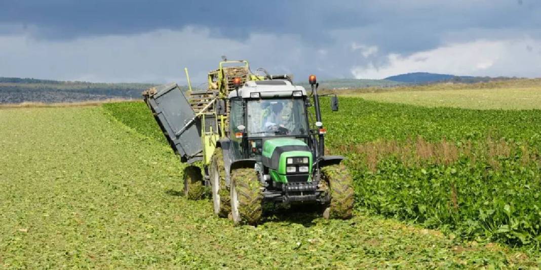 Sulama sistemi kuraklığın etkilerini azaltıyor, hasat sürüyor! 1 dönümden 5 ton ürün alınıyor: Üreticinin yüzü gülüyor 3